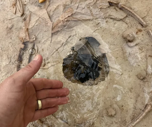 OakRise Restoration Drainage System Care Service Card